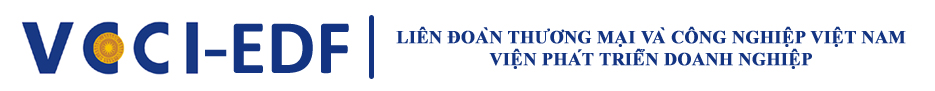   Giới thiệu về Khảo sát Động thái Doanh nghiệp Việt Nam (VBiS)